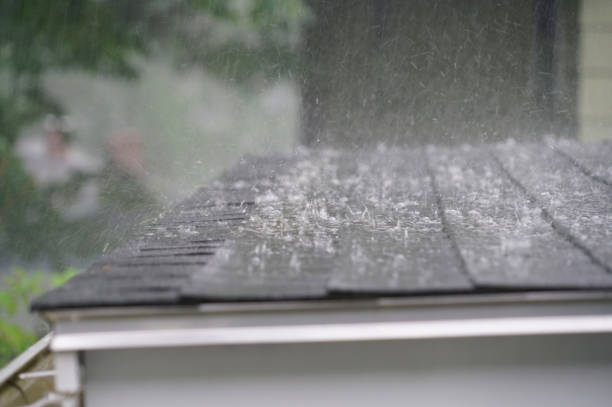 Best Skylights  in Indiantown, FL